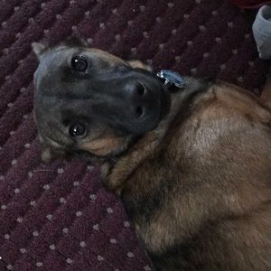 Meet your Posher, Janine